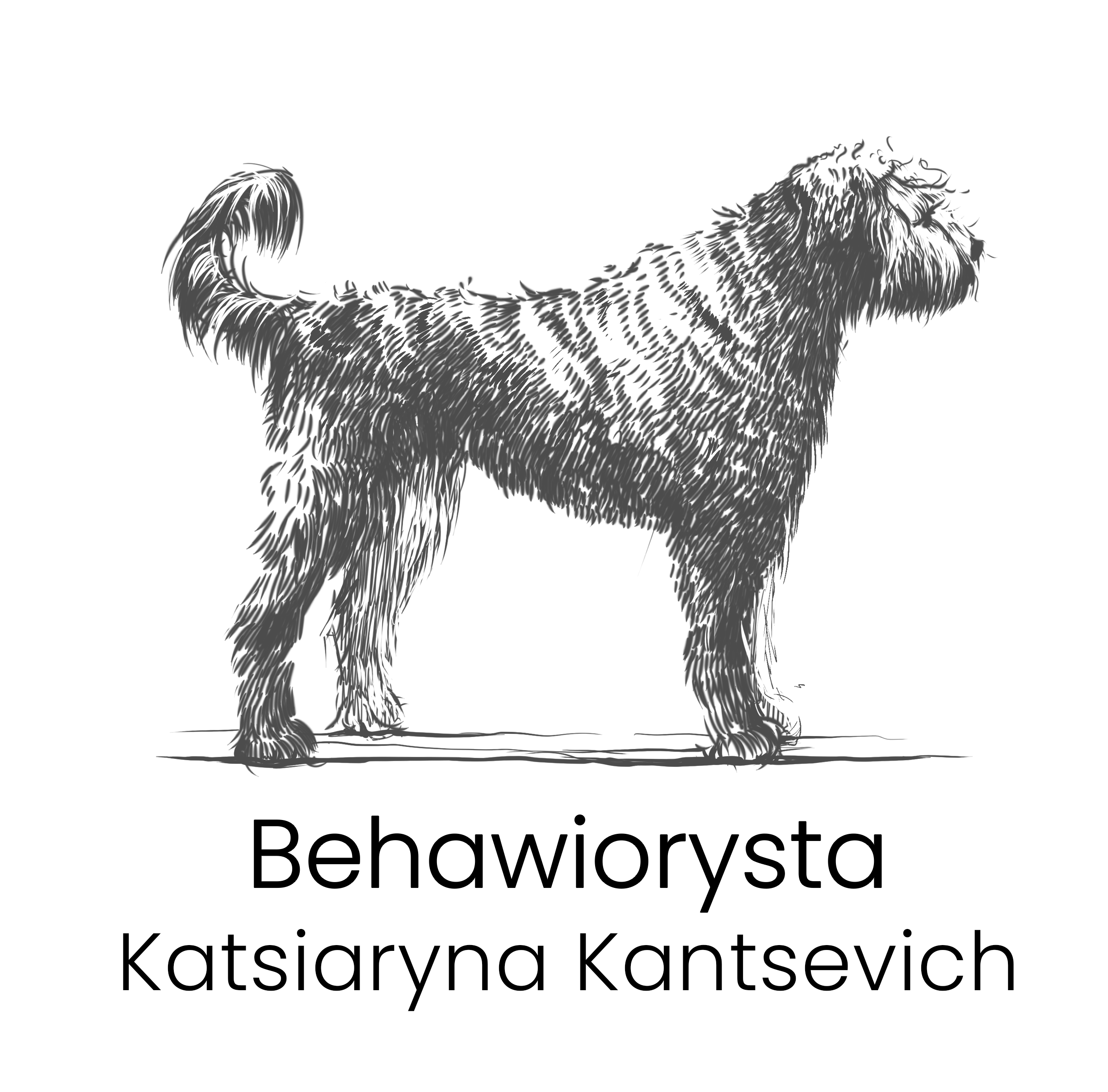 logo Katsiaryna Kantsevich 